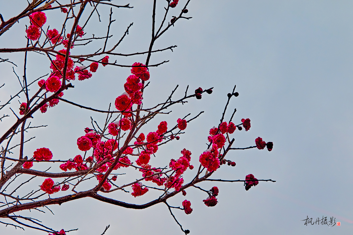 20260305遗址公园 33.jpg